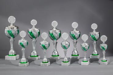 Silber/Grüner  Pokal 10 Größen zur Wahl inkl. Aluschild/Schrift/5cmØ Logo/Montage