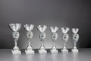 6er Pokal Serie Farbe Silber inkl. Aluschild/Schrift/2,5cm-5cm Ø Logo/Montage