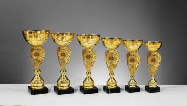 6er Pokal Serie Farbe Gold inkl. Aluschild/Schrift/2,5cm-5cm Ø Logo/Montage