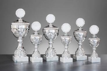 6er Pokal Serie Farbe Silber ,großer Kelch, inkl.: Aluschild/Schrift/5cmØ Logo/Montage