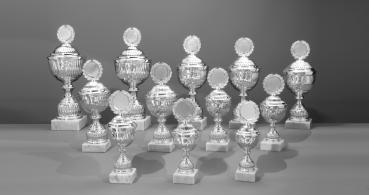 12er Pokal Serie von 26,4cm bis 44cm inkl. Aluschild/Schrift/Logo/Montage