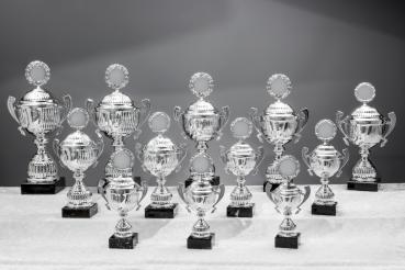 12er Pokal Serie von 25,8cm bis 45cm inkl. Aluschild/Schrift/Logo/Montage