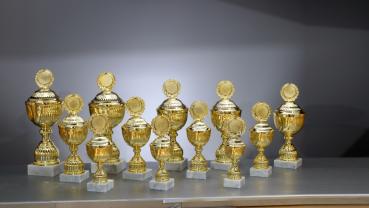 12er goldene Pokal Serie von 26,4cm bis 44cm inkl. Aluschild/Schrift/Logo/Montage