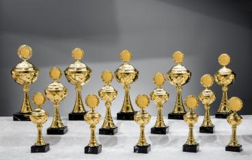 14er Pokal Serie von 25,3cm bis 43cm inkl. Aluschild/Schrift/Logo/Montage