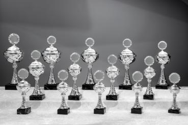 14er Pokal Serie von 25,3cm bis 43cm inkl. Aluschild/Schrift/Logo/Montage