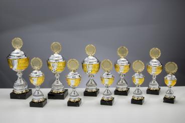 10er Pokal Serie Farbe Silber/Gold inkl. Aluschild/Schrift/5cmØ Logo/Montage