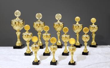 12er Pokal Serie von 27,5cm bis 51,5cm inkl. Aluschild/Schrift/Logo/Montage