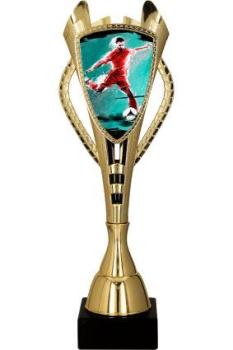 6er Serie Fußballpokale bis 44cm Farbe Gold inkl.Aluschild/Schrift/ Logo/Montage