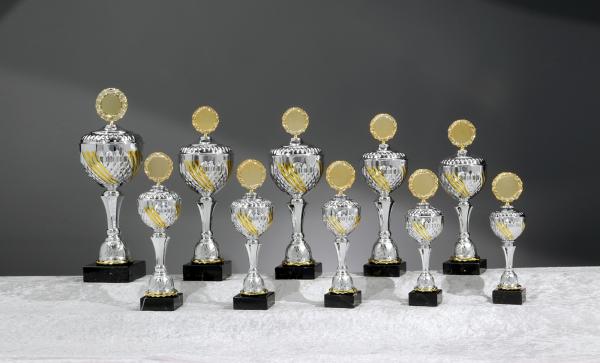 Silber/Goldener  Pokal 10 Größen zur Wahl inkl. Aluschild/Schrift/5cmØ Logo/Montage