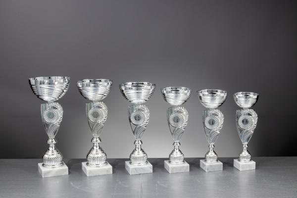 6er Pokal Serie Farbe Silber inkl. Aluschild/Schrift/2,5cm-5cm Ø Logo/Montage