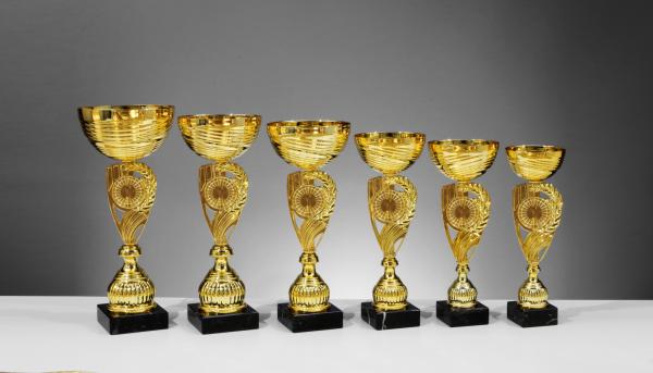 6er Pokal Serie Farbe Gold inkl. Aluschild/Schrift/2,5cm-5cm Ø Logo/Montage