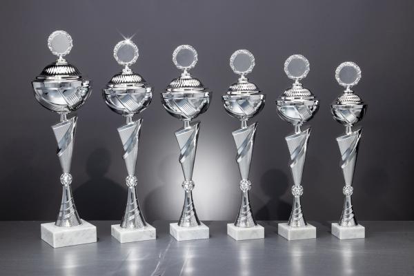 Pokal Serie bis 56,5cm in der Farbe Silber inkl. Aluschild/Schrift/5cm Ø Logo/Montage