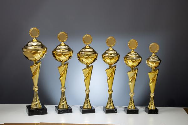 Pokal Serie bis 56,5cm in der Farbe Gold inkl. Aluschild/Schrift/5cm Ø Logo/Montage