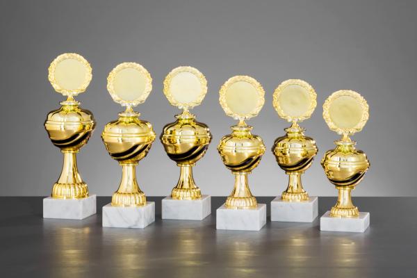 Pokal Serie in Gold/Schwarz inkl. Aluschild/Schrift/5cm Ø Logo/Montage