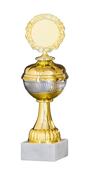 Pokal Serie in Gold/Silber inkl. Aluschild/Schrift/5cm Ø Logo/Montage