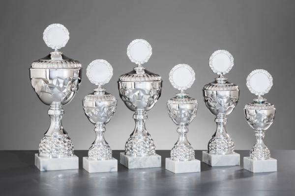 6er Pokal Serie Farbe Silber ,großer Kelch, inkl.: Aluschild/Schrift/5cmØ Logo/Montage