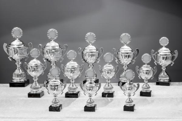 12er Pokal Serie von 25,8cm bis 45cm inkl. Aluschild/Schrift/Logo/Montage