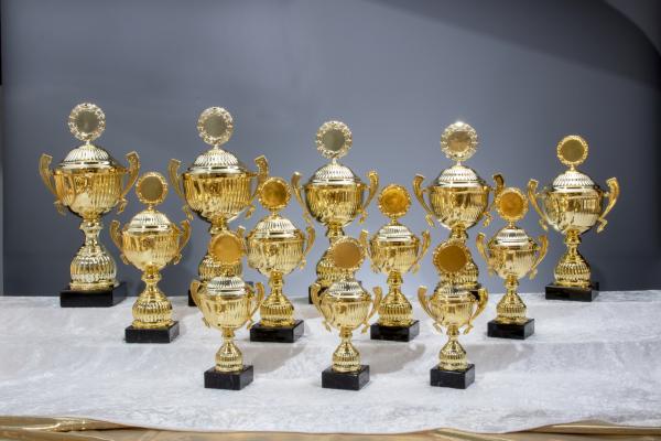 12er Pokal Serie von 25,8cm bis 45cm inkl. Aluschild/Schrift/Logo/Montage