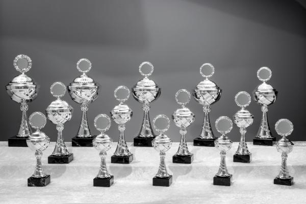 14er Pokal Serie von 25,3cm bis 43cm inkl. Aluschild/Schrift/Logo/Montage