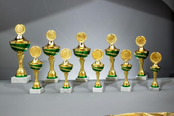 Gold/Grüner  Pokal 10 Größen zur Wahl inkl. Aluschild/Schrift/5cmØ Logo/Montage