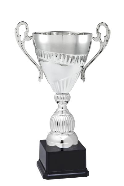 6er Pokal Serie mit Henkel Farbe Silber inkl. Aluschild/Schrift/Logo/Montage